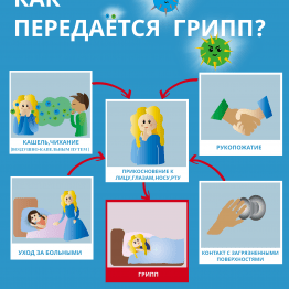 Как передается грипп
