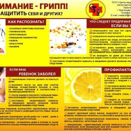 Внимание грипп